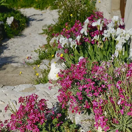 Cacini Dvori Apartament