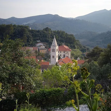 Cacini Dvori