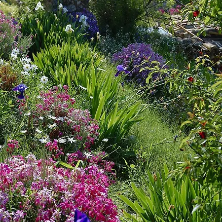 Cacini Dvori Daire *