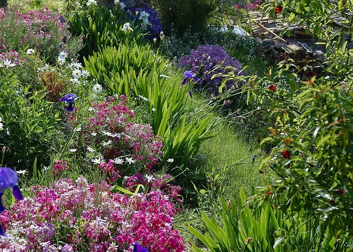 Cacini Dvori Апартаменты *